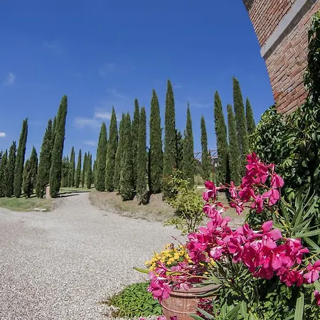 Sant'alfredo *