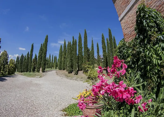 Sant'alfredo *